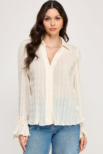 Long Sleeve Sheer Blouse