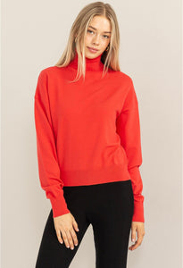 Turtleneck Basic Sweater