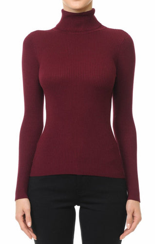 Turtleneck Long Sleeve Top