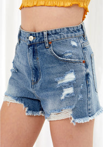High Waist Distressed Denim Shorts