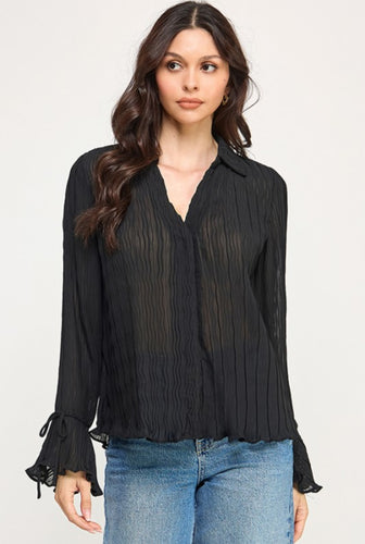 Long Sleeve Sheer Blouse